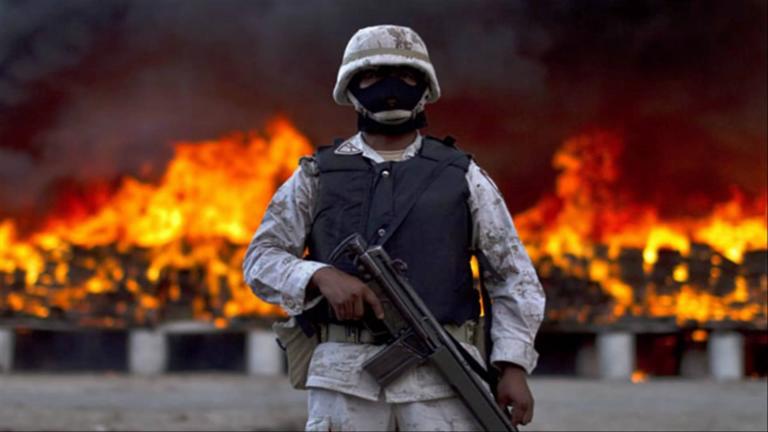 Latin America Combats Drugs