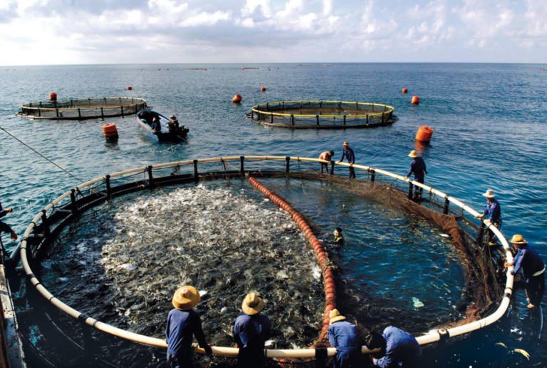 Costa Rica, Spain agree to cooperate on fishing, aquiculture