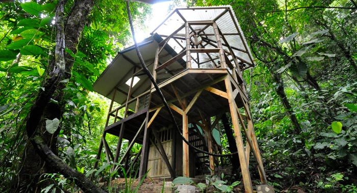 Finca Bellavista: Treehouse Community
