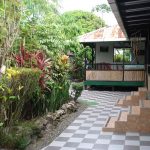 puerto-viejo-casa-verde-4