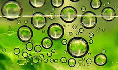 Costa Rica Investments in Bio-fuel, and Sustainable Agro Developments