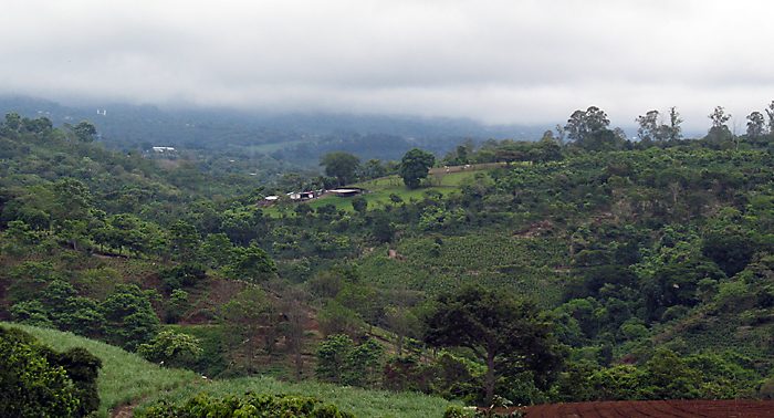 The Minister of Agriculture in Mission to Costa Rica