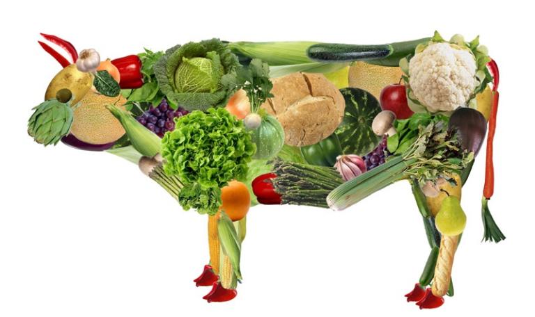 Italian Proposal Would Jail Vegan Parents Who Force Diet on Children