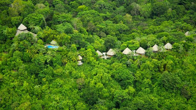 Conservation on the Osa Peninsula: