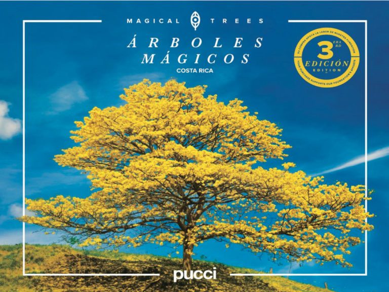 Artists of Costa Rica