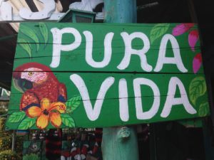 Pure Life