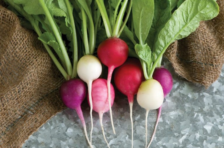 Enjoy the Tasteful Pleasure of Radish