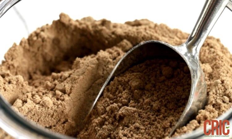 Industrialization of Edible Insects