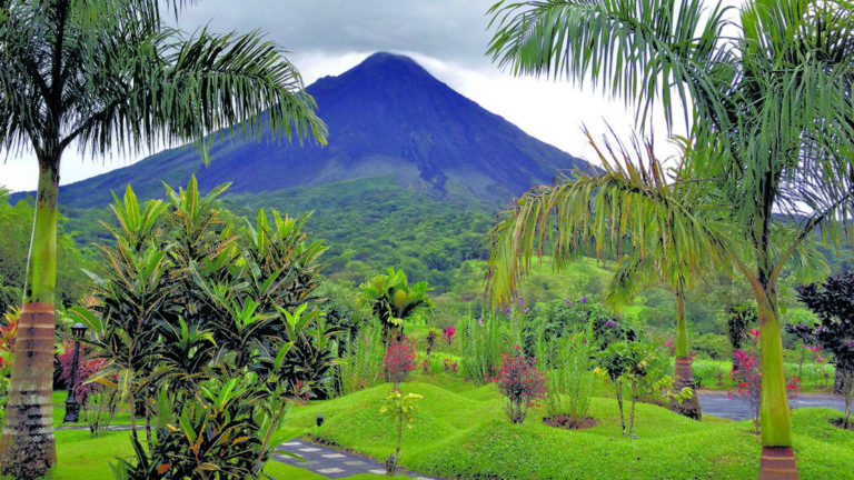 Report on Biodiversity in Costa Rica, Reflects the Reality of Our Ecosystems