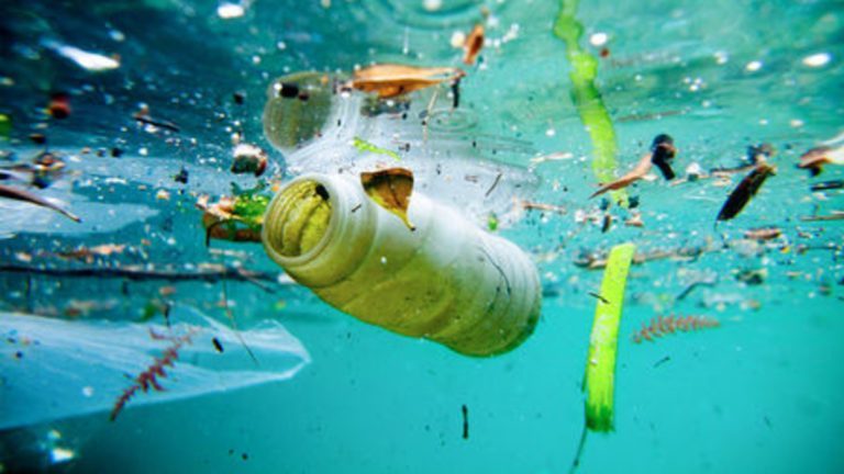 X-Rays of Costa Rican Rivers Show Alarming Pollution Levels