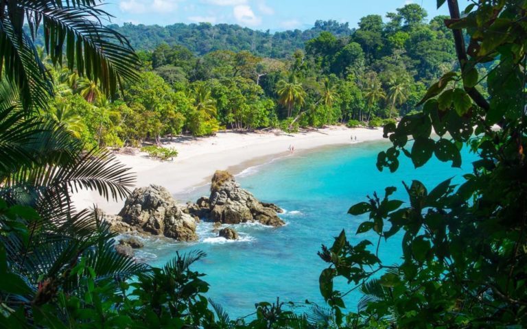 New Tourist Business Options with North American Entrepreneurs Were Recently Opened in San Carlos