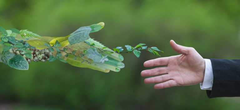 Costa Rica Promotes Its First “Green Technology” Fair