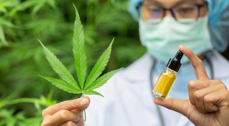 Cannabis Cultivation Will Help Reactivate the Costa Rican Economy, According to Authorities