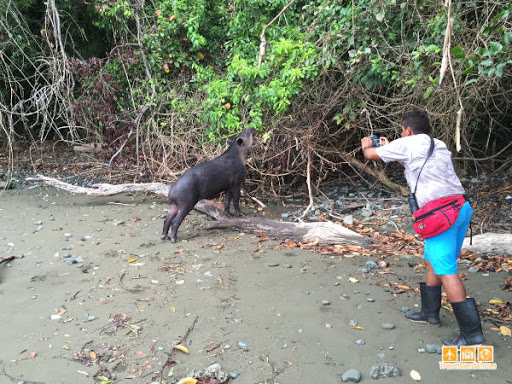 Corcovado National Park: One of the Few Natural Areas That Remain Virgin in Central America