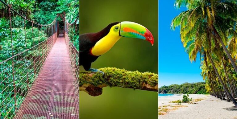 A Conspiracy of Love for Costa Rica