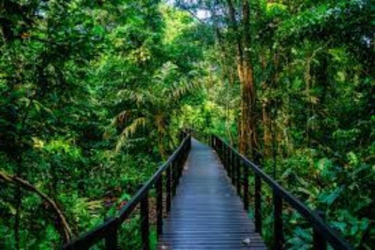 Costa Rica’s Magic Awaits You! (Part 2)