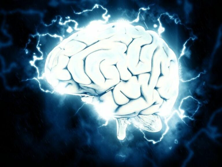 Magic Mushrooms Can Reset the Brain