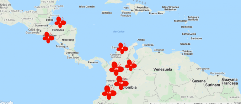 Participate in the First World Census of Butterflies