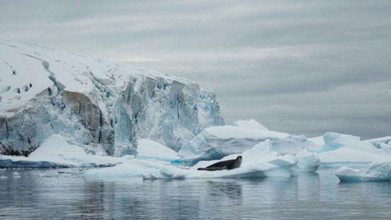ICE