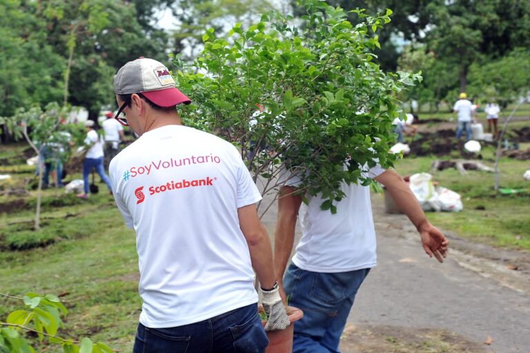 Green Growth Program Will Support More SMEs in Costa Rica with Seed Capital