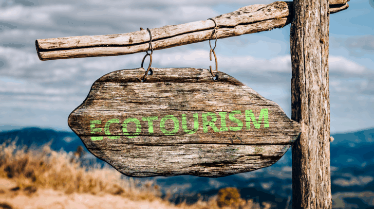 Trends in Conscious Tourism: What New Visitors Are Looking For in Costa Rica