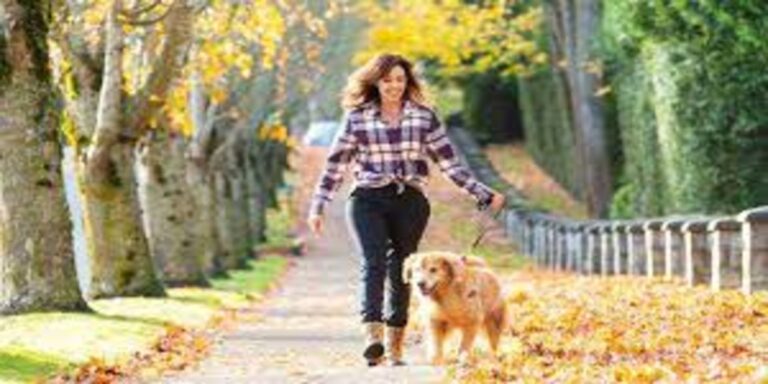 Learn About the Healing Power of Dogs in Physical, Mental, and Emotional Therapies in Costa Rica